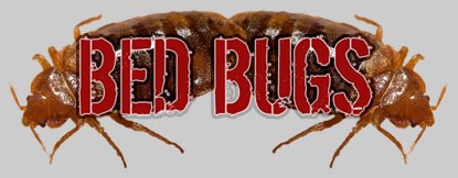 BED BUG REMOVAL AND INSPECTIONS