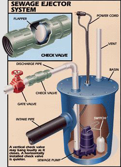 Check Valve