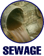 SEWAGE CLEANUP