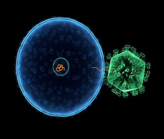 Virus Cell